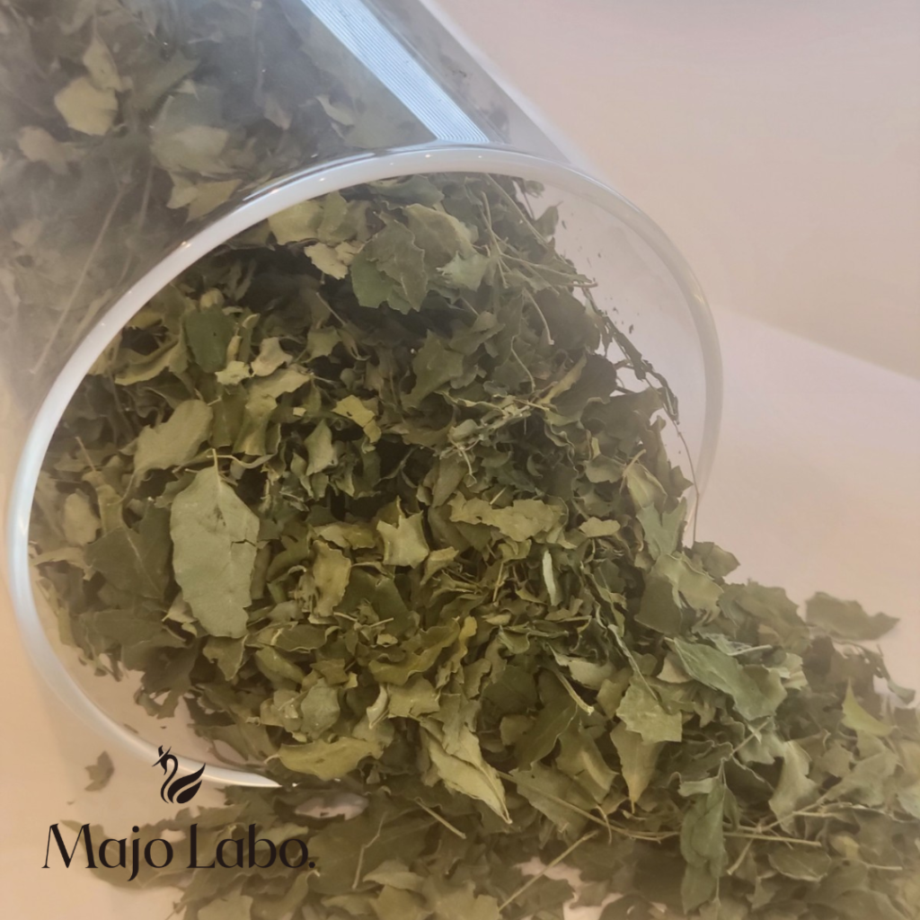 よもぎ蒸し＆モリンガ蒸しで、内側から整える温活時間